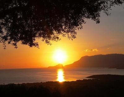 Su Paradisu Daire Olbia Dış mekan fotoğraf