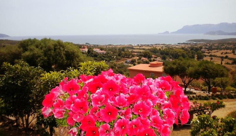 Su Paradisu Daire Olbia Dış mekan fotoğraf