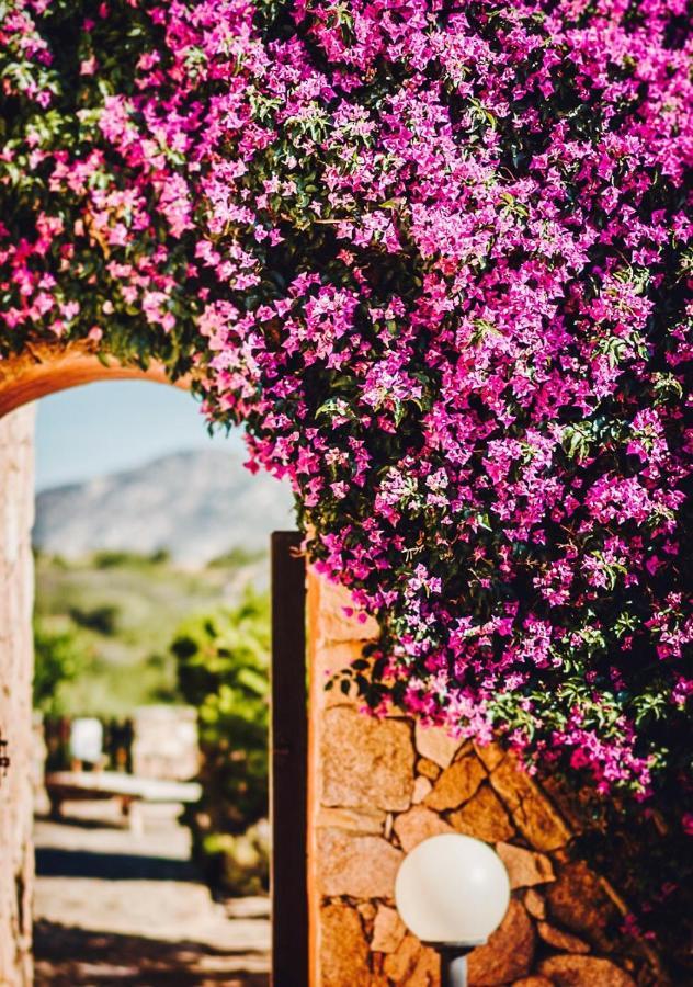 Su Paradisu Daire Olbia Dış mekan fotoğraf